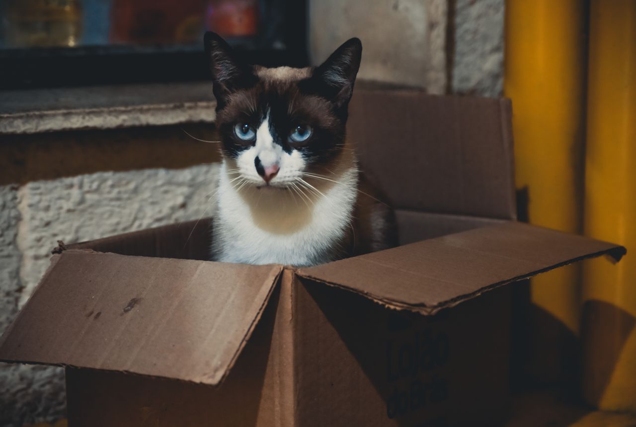 Packing services Armitage — removals work in progress