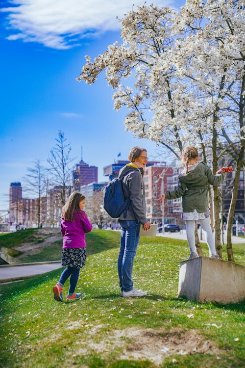 Foto stok gratis arsitektur perkotaan, bunga musim semi, di luar