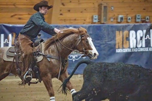 Foto profissional grátis de andar a cavalo, ao ar livre, caubói