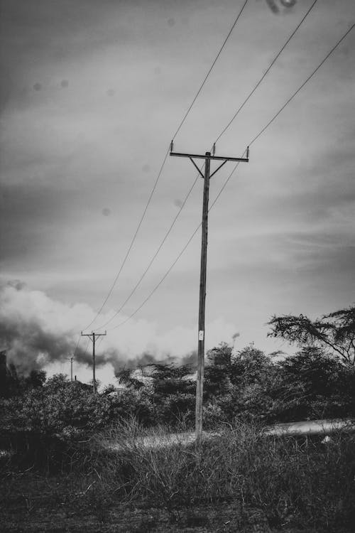 Free stock photo of black and white, power lines