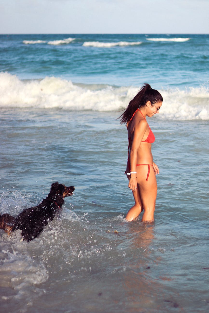 플라야 델 카르멘 갤러리 이미지