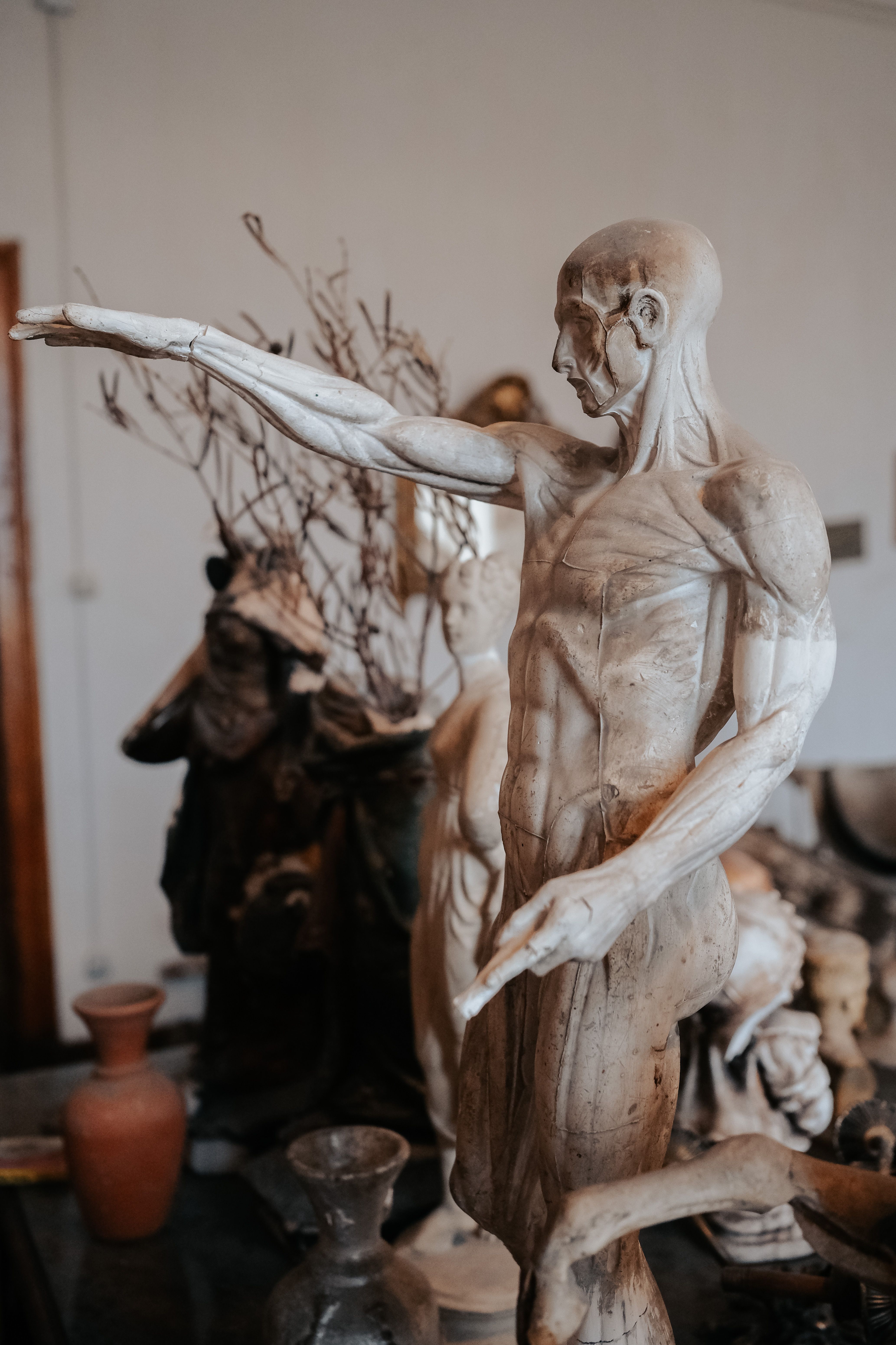 Gratis Immagine gratuita di ambiente museale, anatomia, anatomia artistica Foto a disposizione