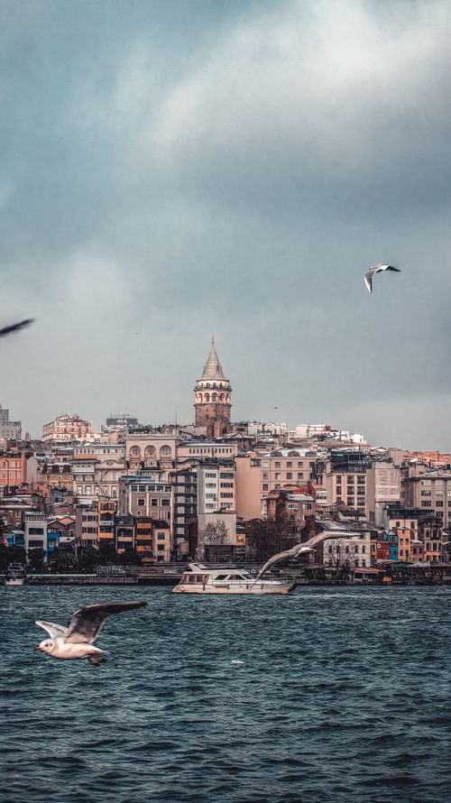 Free Scenic view of Galata Tower surrounded by urban Istanbul skyline and seagulls, embodying the charm of Turkey's cityscape. Stock Photo