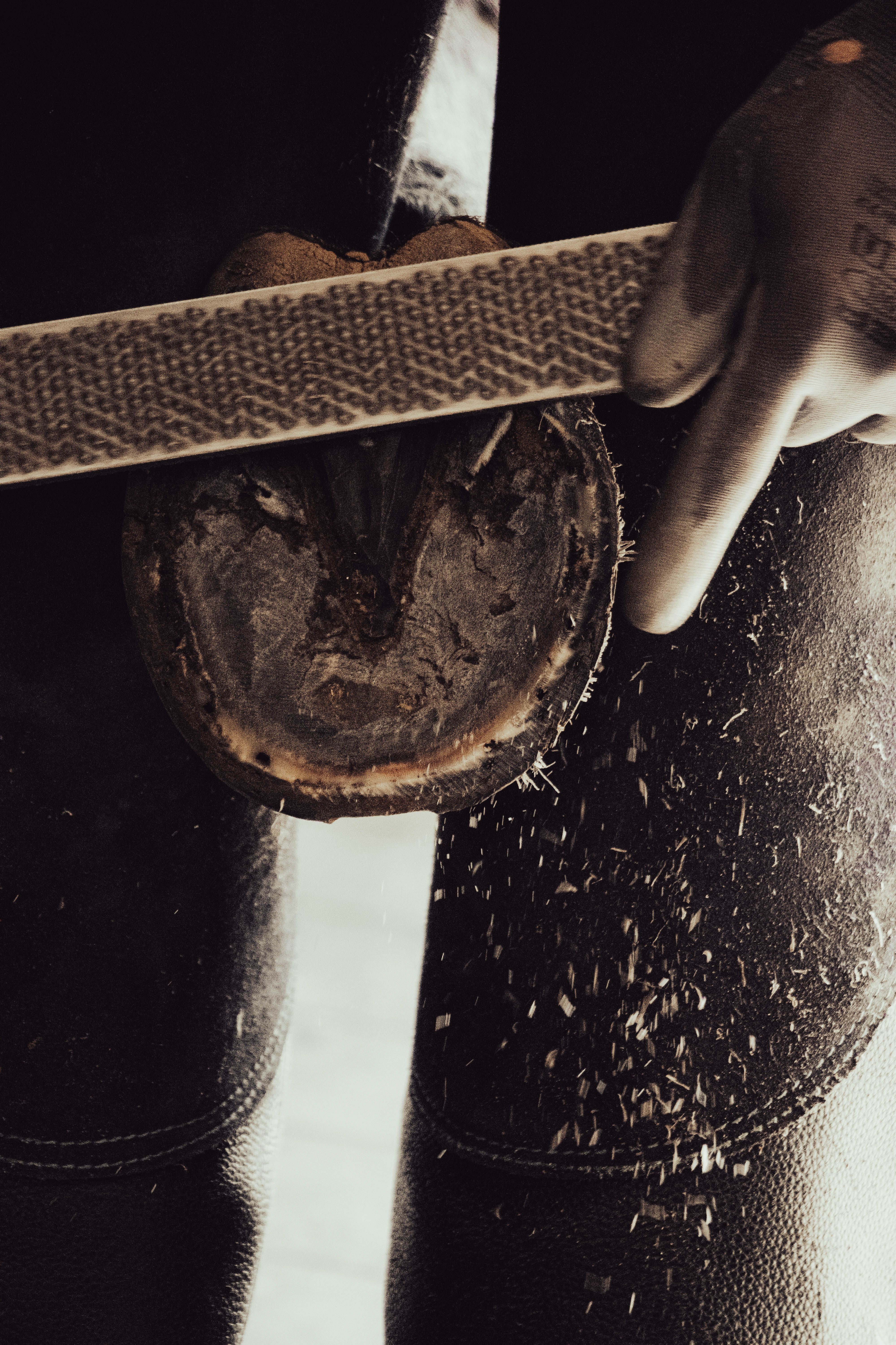 Râpage de la sole d'un sabot, copeaux de corne en train de voler.