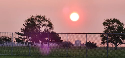 Free stock photo of sun raised