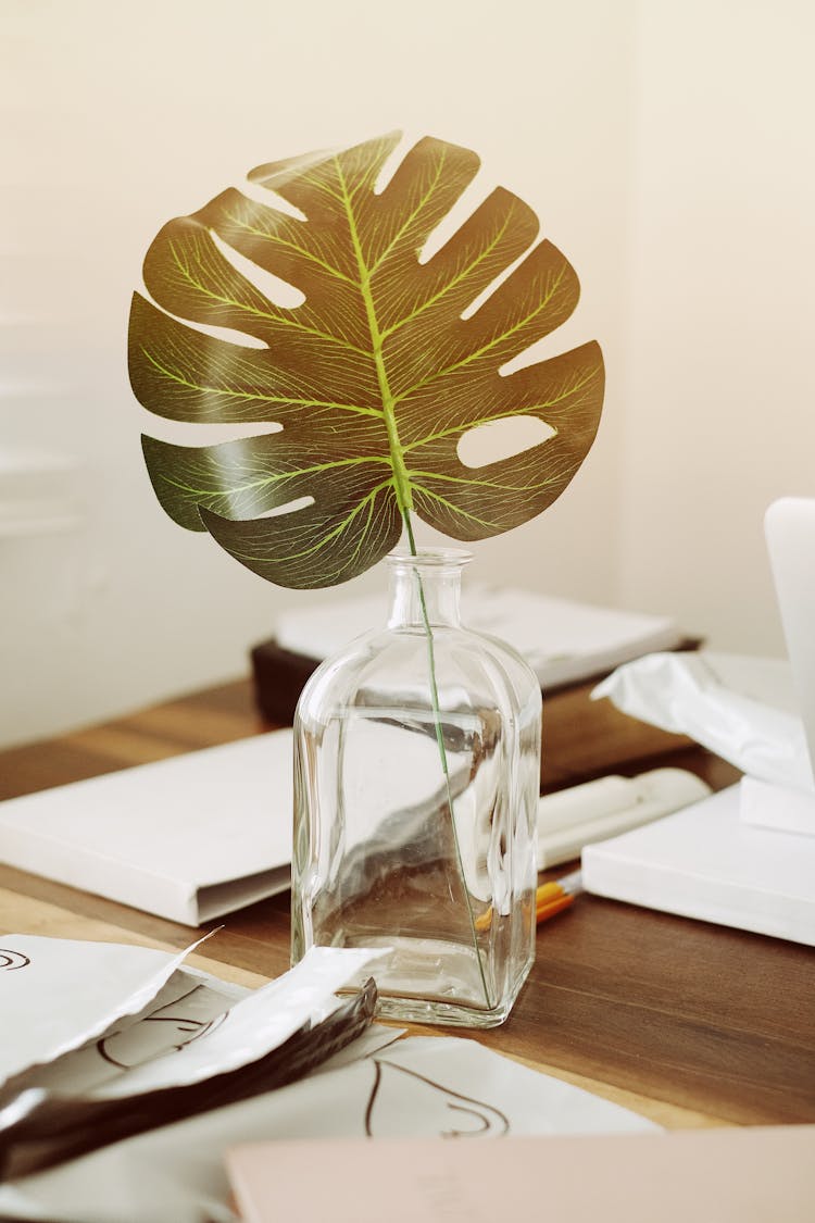 Tropical Leaf In A Vase 