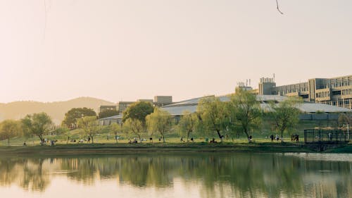 Lake by the University in China 