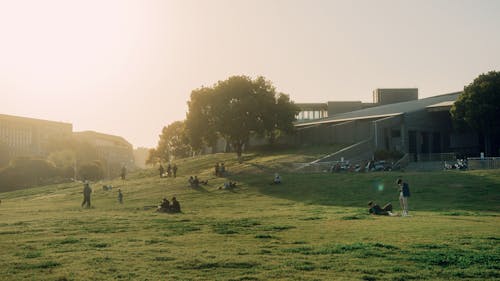 Students on Grassland in Campus