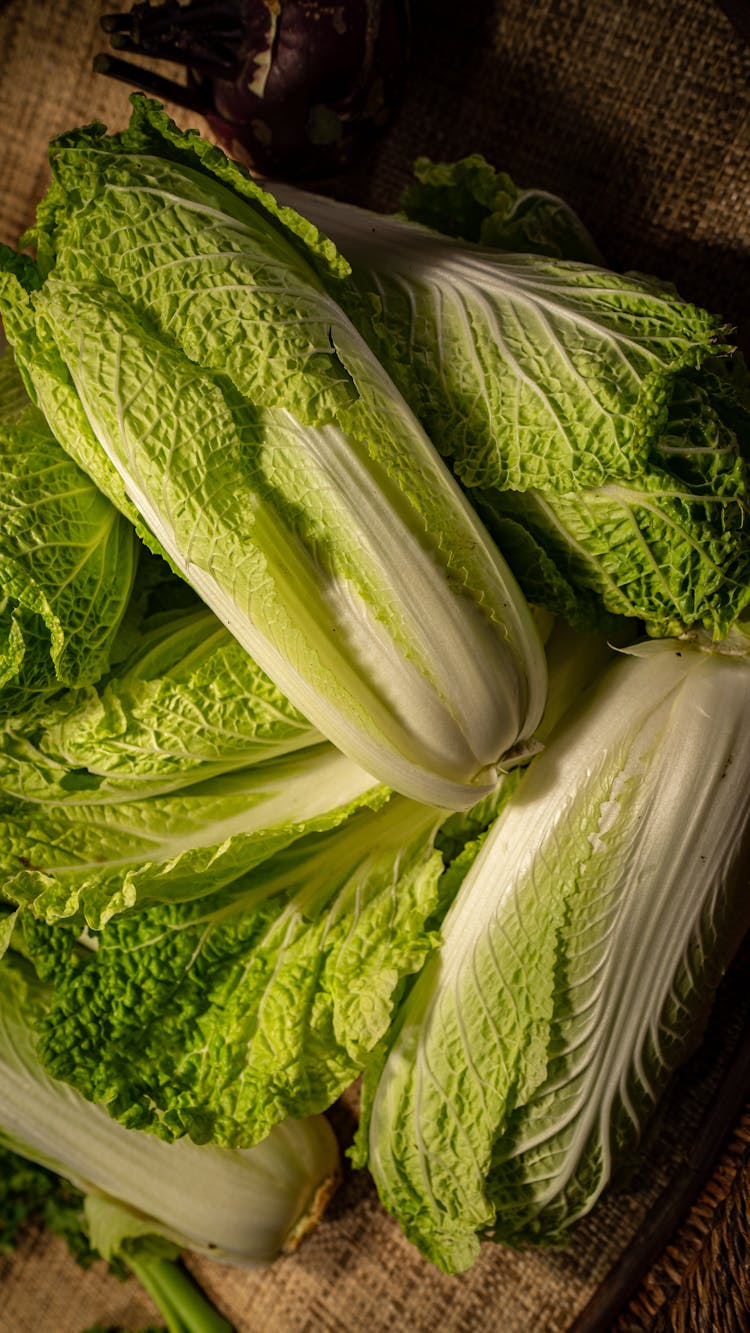 Fresh Cabbage Pile On Table