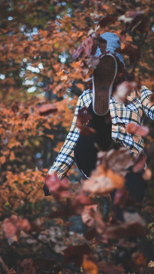 Immagine gratuita di alberi, autunno, cadere