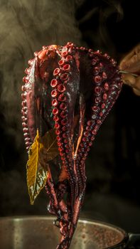 A detailed close-up of steaming octopus tentacles being cooked, showcasing culinary craftsmanship.
