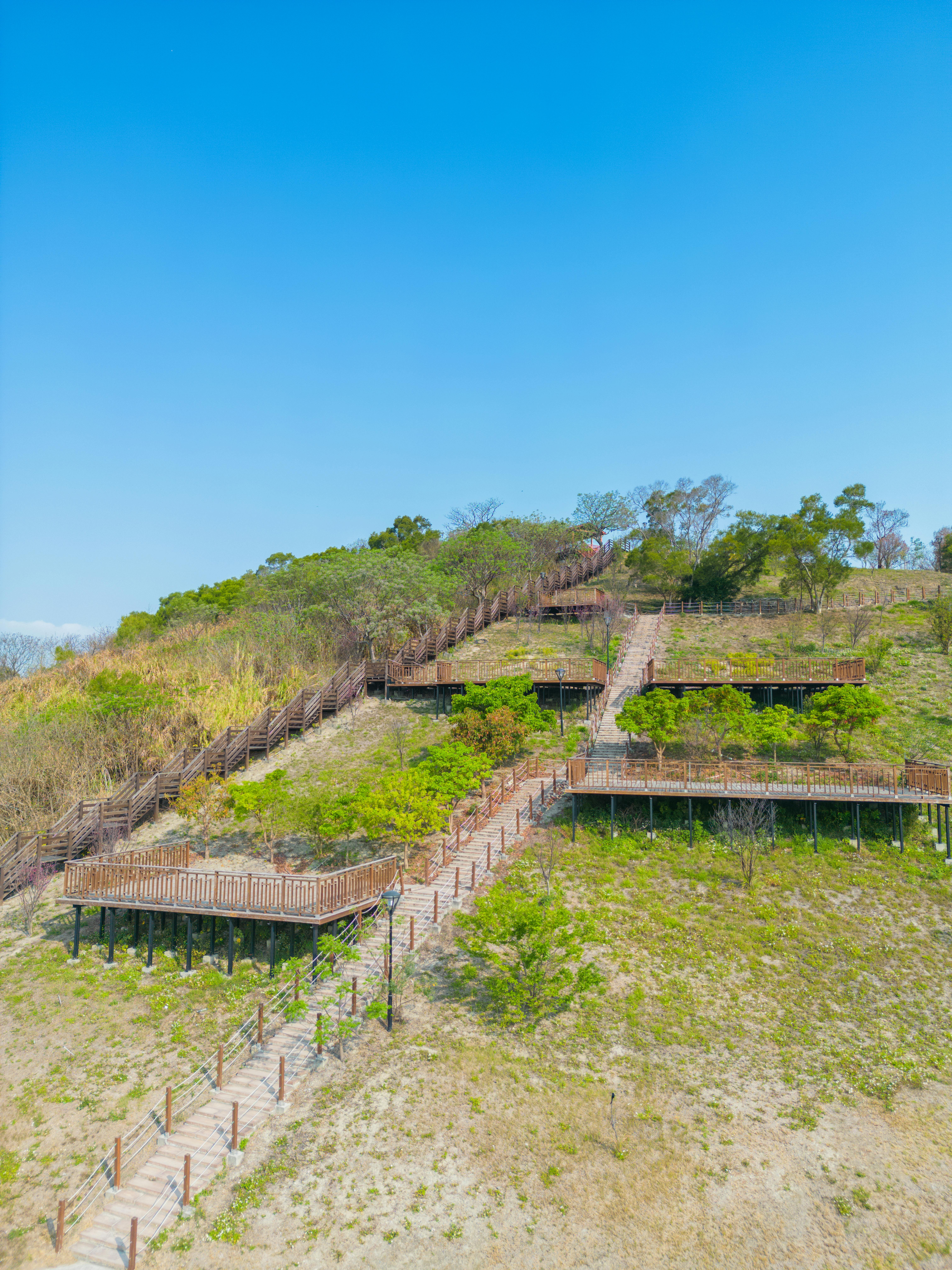 Aerial view of a wooden walkway winding through a lush hillside under a clear blue sky.