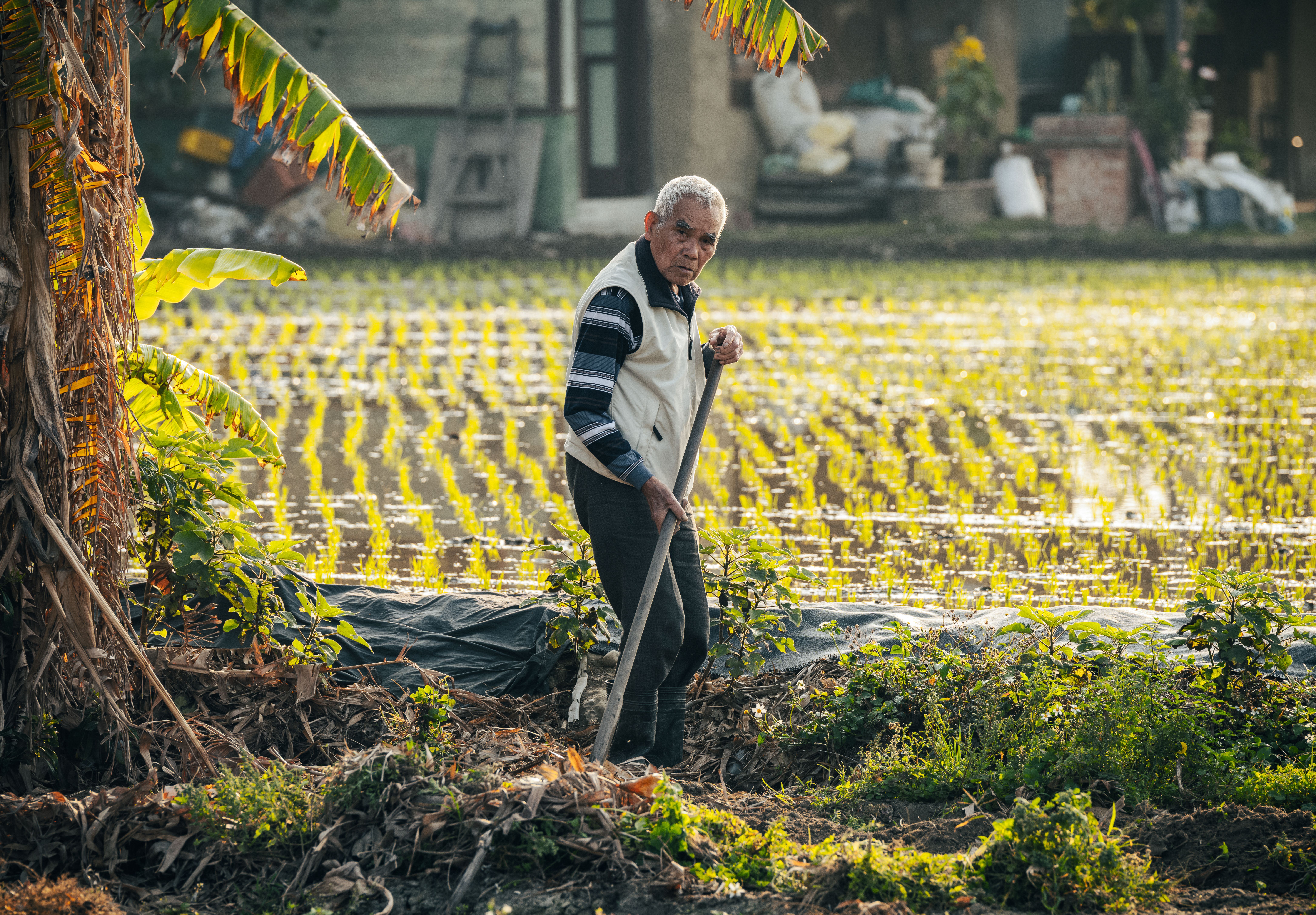 Many farmers utilize life insurance for farm financing — Photo by IAN on Pexels