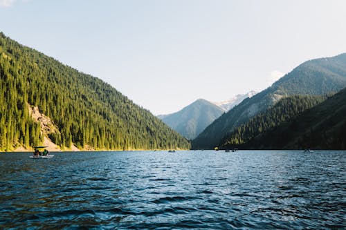 View of a Lake