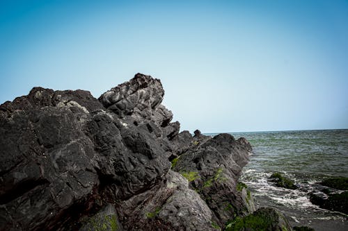 A Rock on a Seashore 