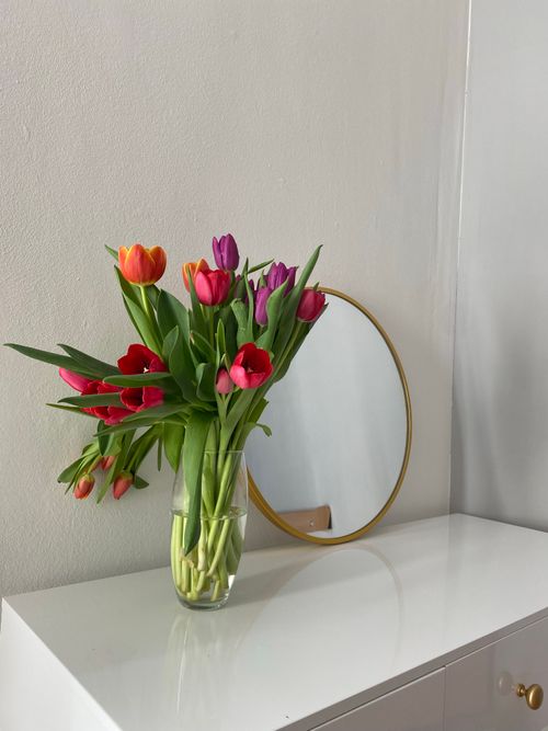 Free Colorful tulips in a glass vase reflected in a round mirror on a white surface. Stock Photo
