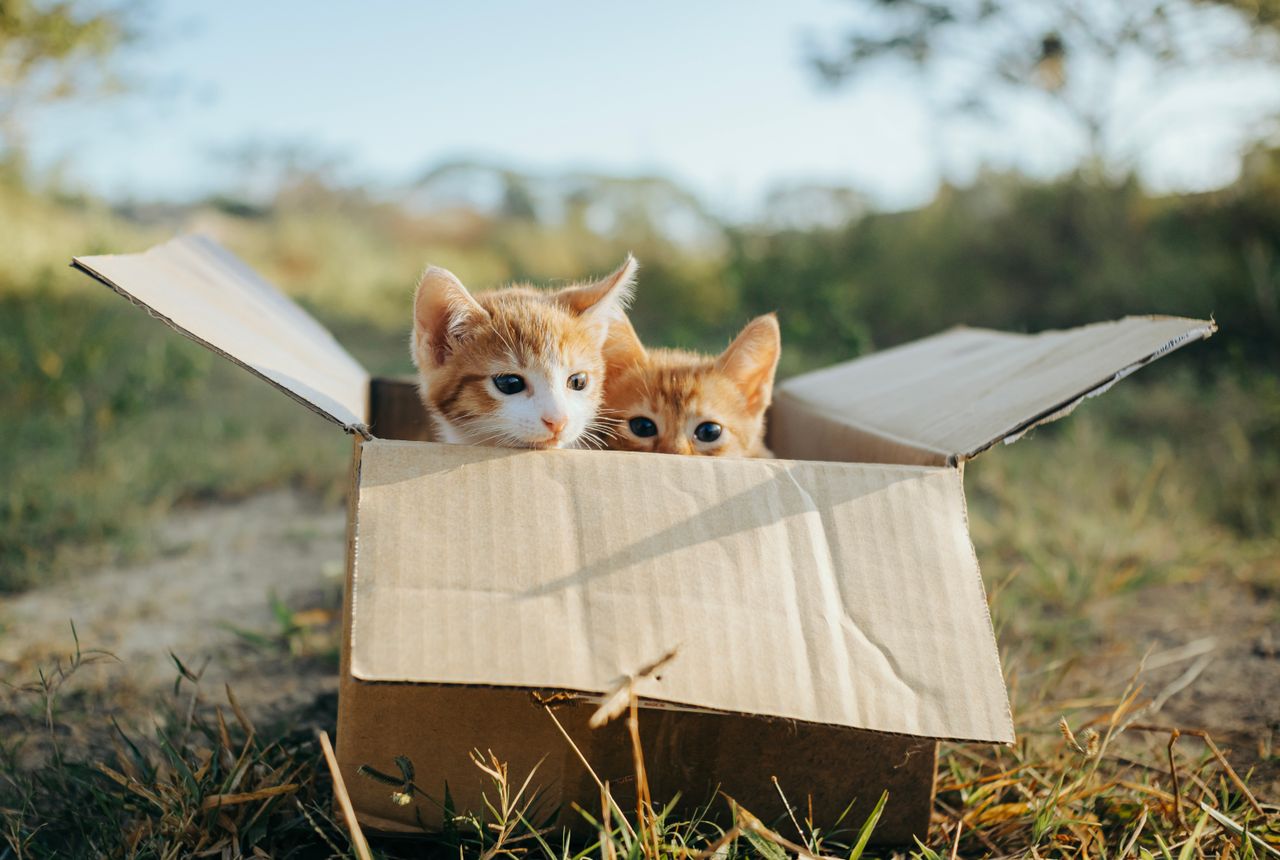 Packing services Wooburn — removals work in progress