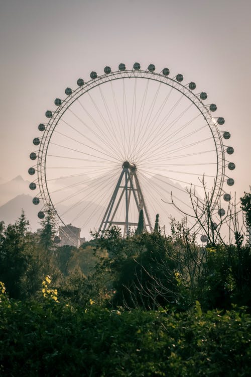 Photos gratuites de carrousel, crépuscule, été