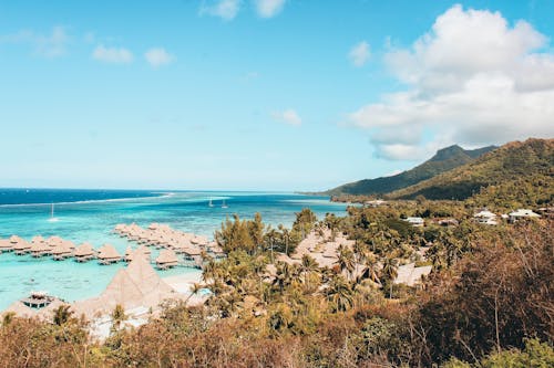 Безкоштовне стокове фото на тему «bora-bora, mo'orea, moorea»