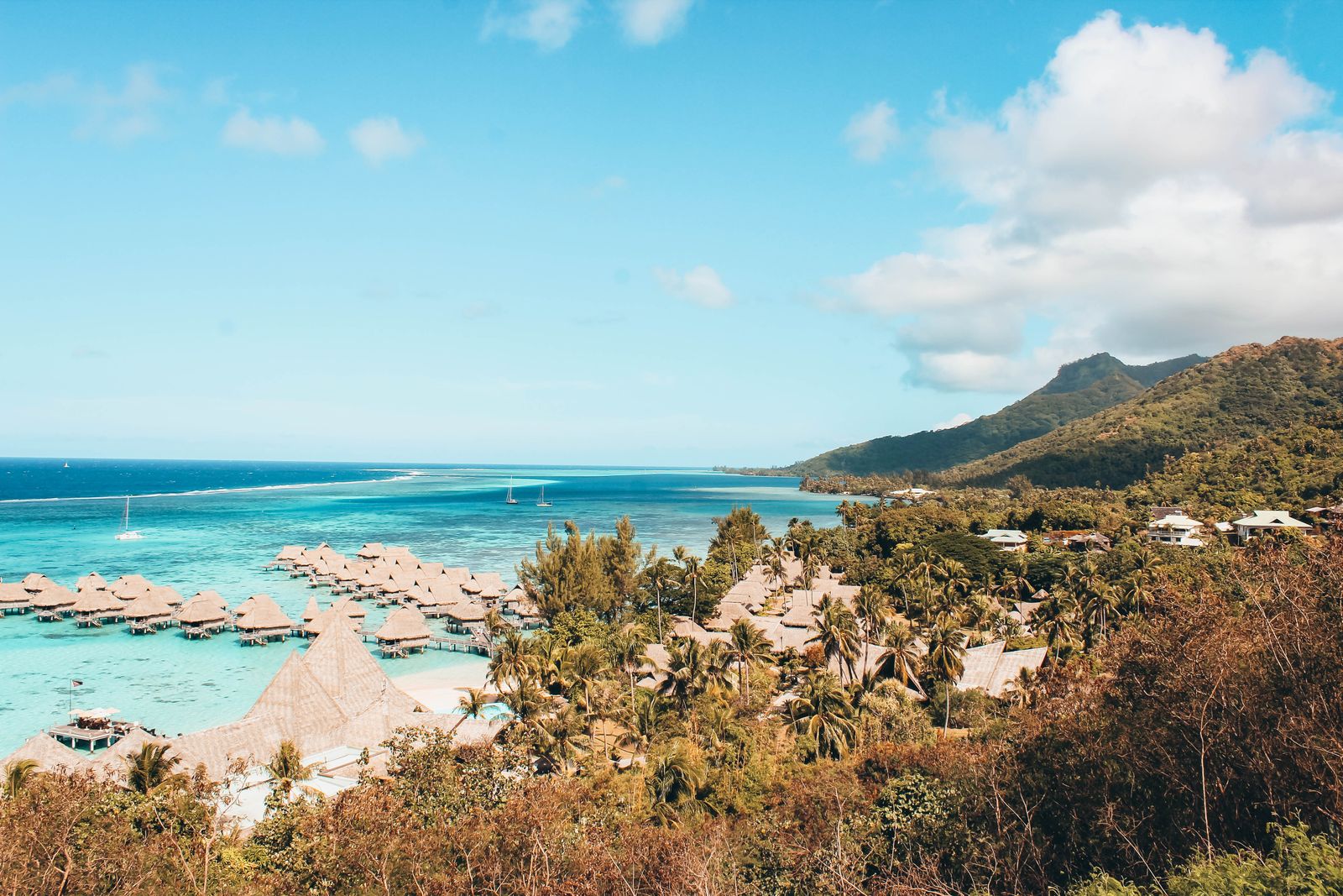Moorea vs Bora Bora Guide (2026): Which Island Wins for Your Trip?