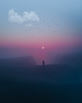 A lone person stands on a cliff at twilight, with a scenic view and a flock of birds.