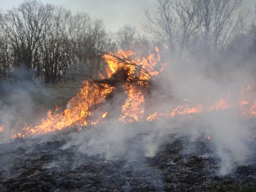 Безкоштовне стокове фото на тему «вогонь, горіння, дерева»