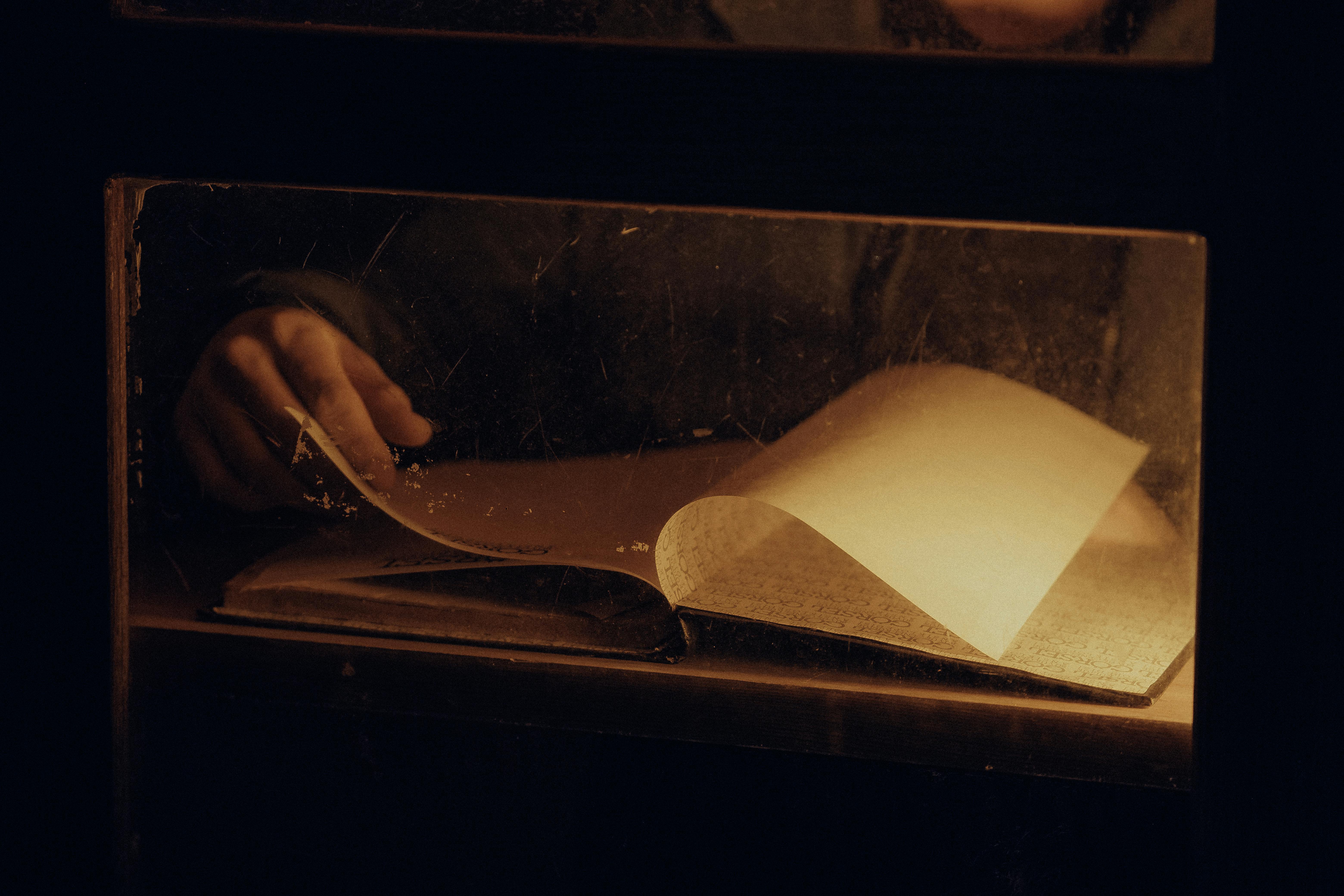 Ingyenes stockfotó beltéri, böngészés, borús témában Stockfotó