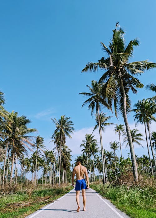 Man Strolling among Palm Trees 
