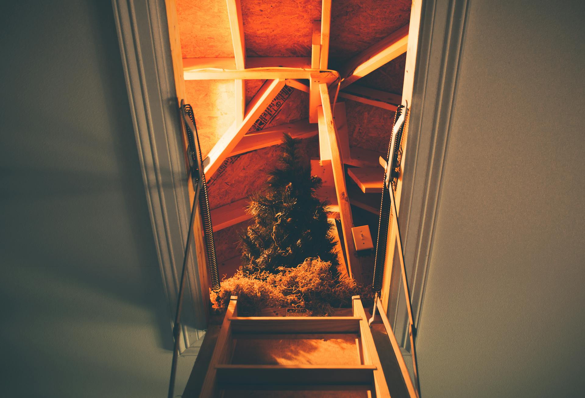 A Christmas tree seen through an attic entrance with a ladder leading up.