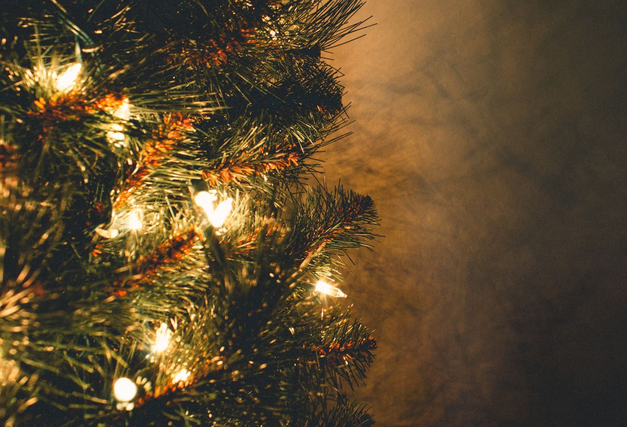 warm festive close up of a christmas tree adorned with glowing lights