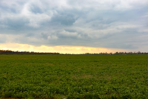 Free stock photo of agricultural lands, beautiful sky, land