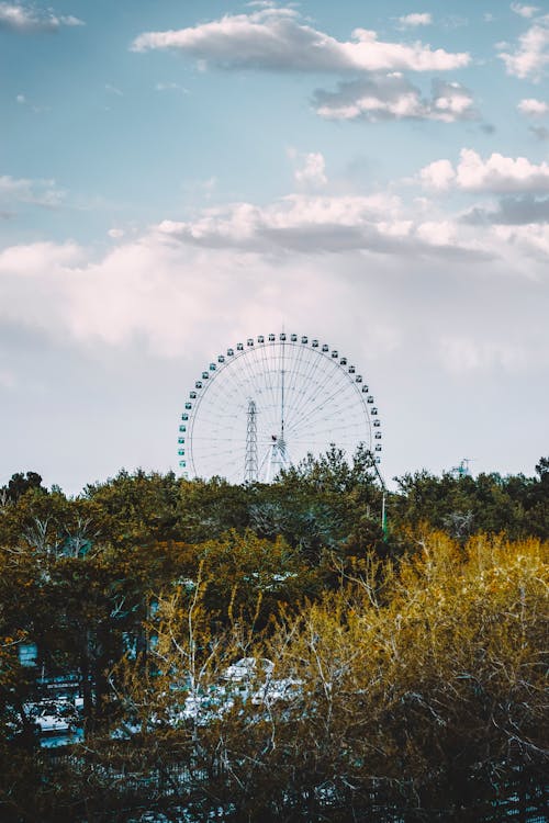 Ferris Wheel in Tokyo 