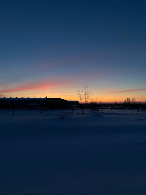 Snowy Scenery at Dawn