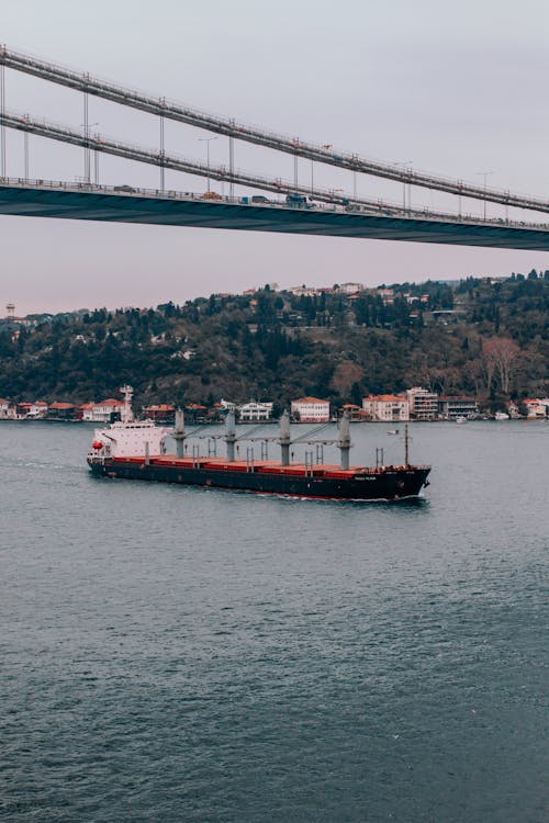 Foto stok gratis bosporus, jembatan, Kapal kontainer