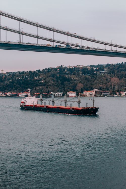Free Container ship sails beneath Bosporus Bridge in Istanbul, Turkey, showcasing maritime traffic. Stock Photo