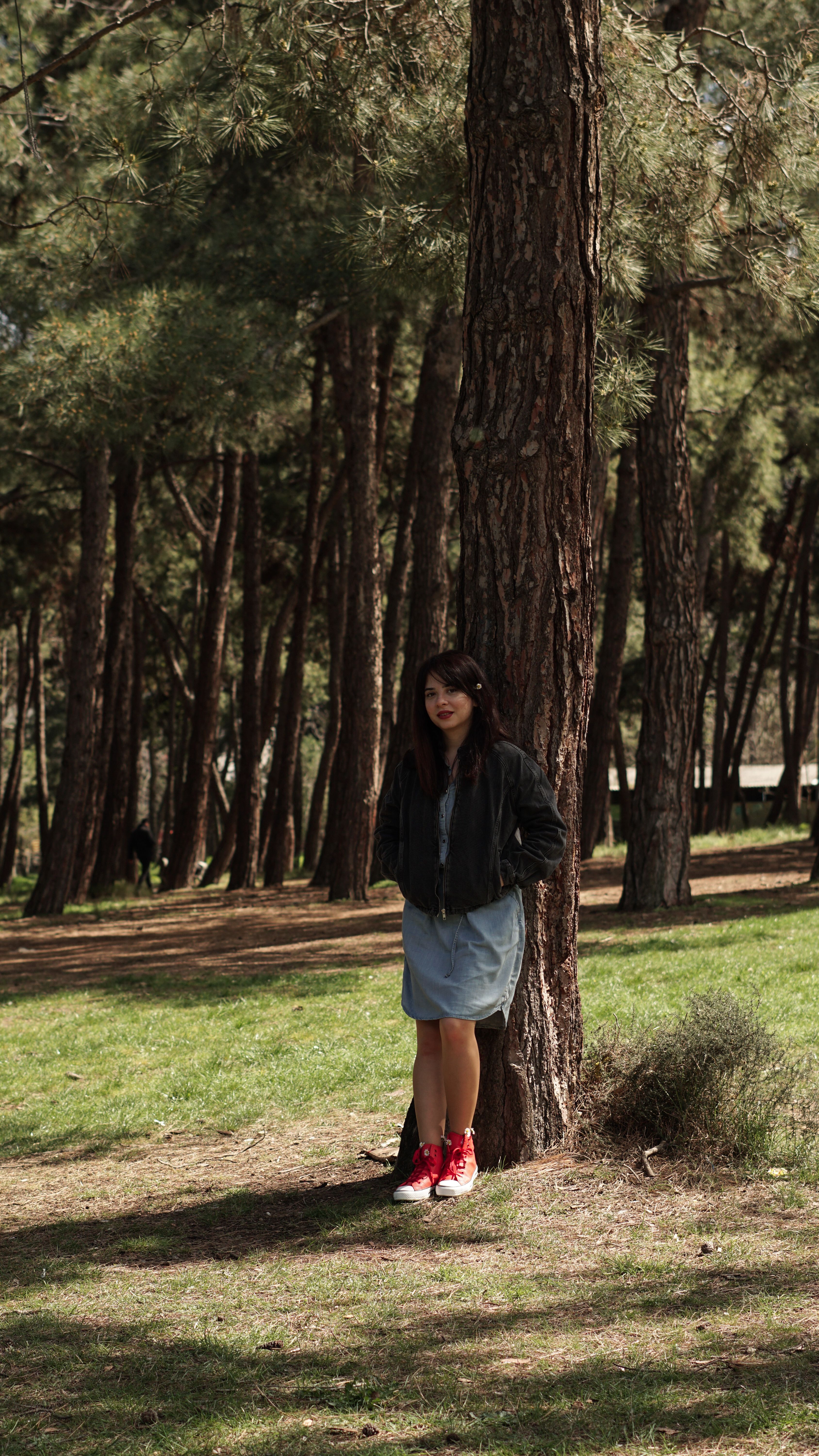 A woman standing in the middle of a forest · Free Stock Photo