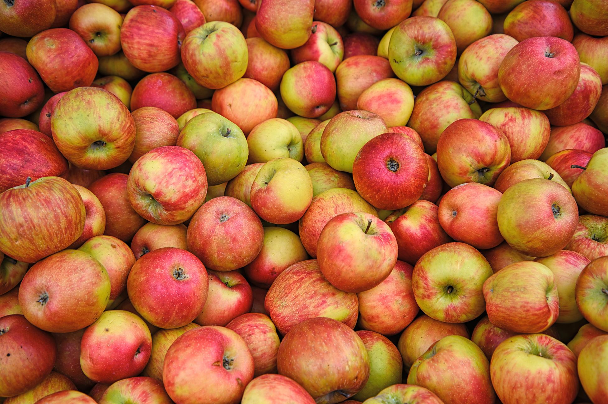 Apple versnelt software-updates door snellere exploits