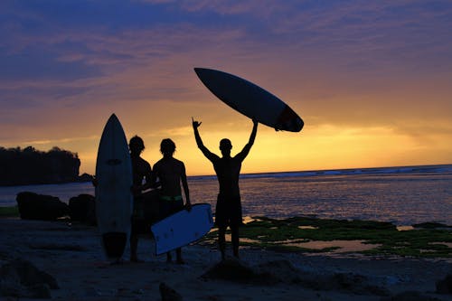 Silhouettes of People with Surfboards on Sea Shore at Sunset