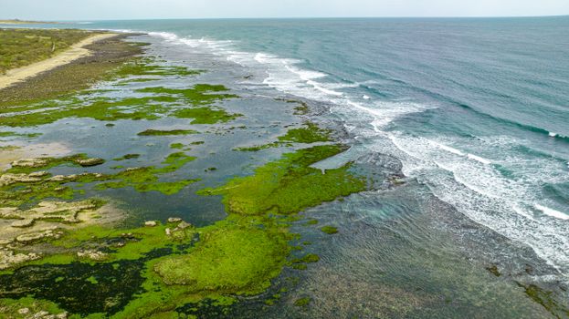 Aerial View of a Shore with Algae 