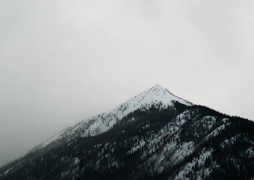 Gratis lagerfoto af bjerge, eventyr, forkølelse