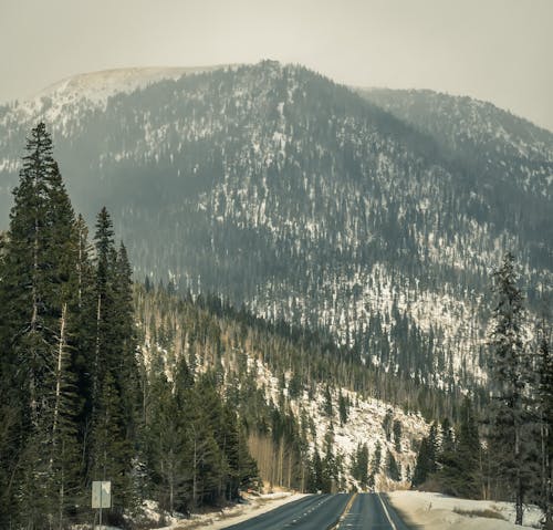 Landscape of a Large Mountain Covered in Trees and Snow seen from the Road 