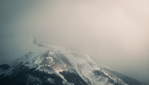 Ingyenes stockfotó fák, felhők, felhős témában