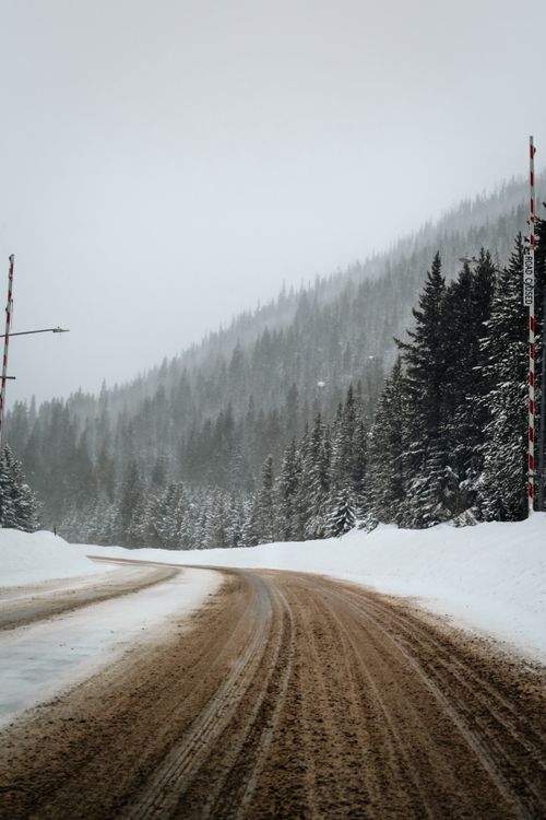 Free A scenic winter road winding through a snow-covered evergreen forest under an overcast sky. Stock Photo