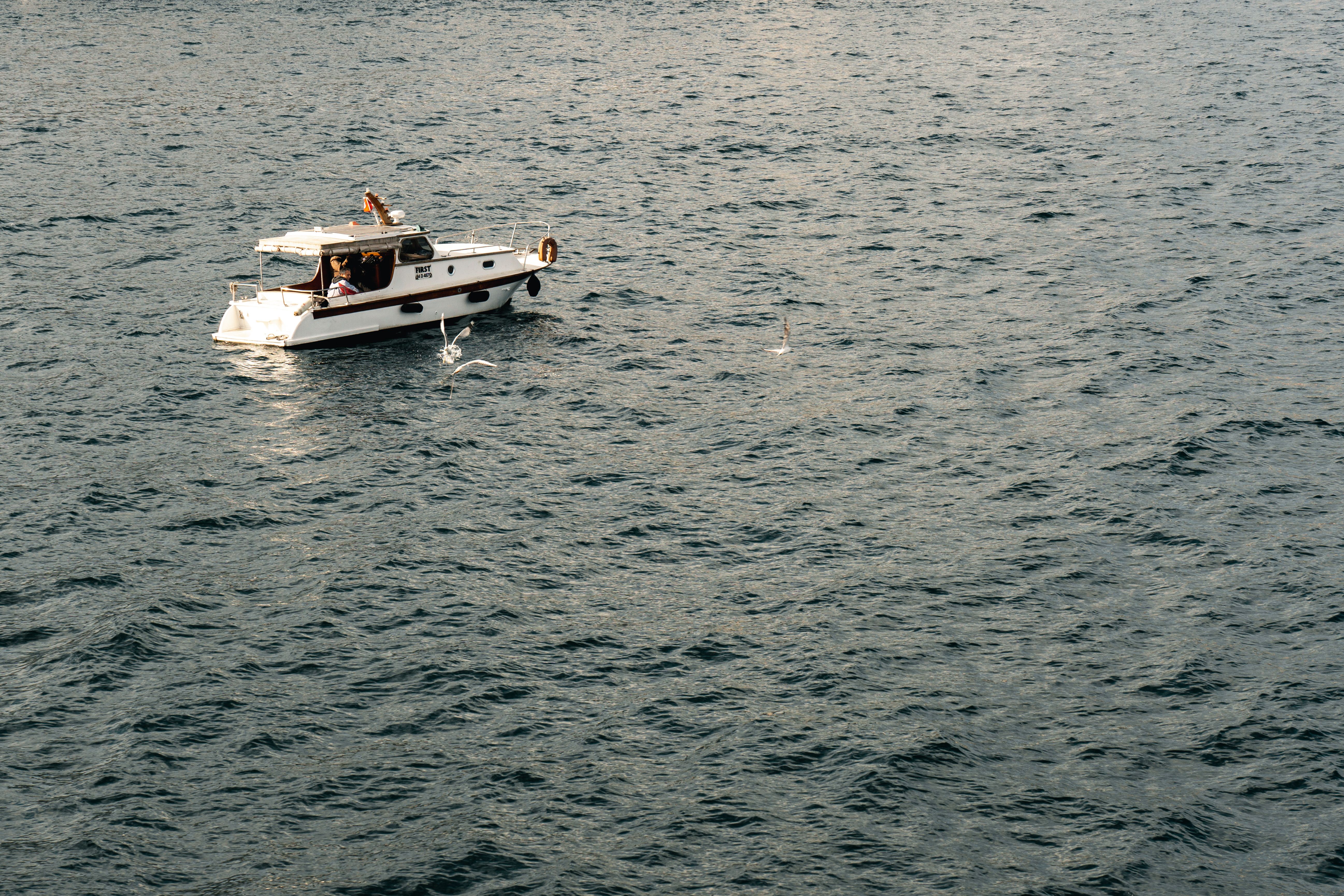 Motorboat Sailing through Sea · Free Stock Photo