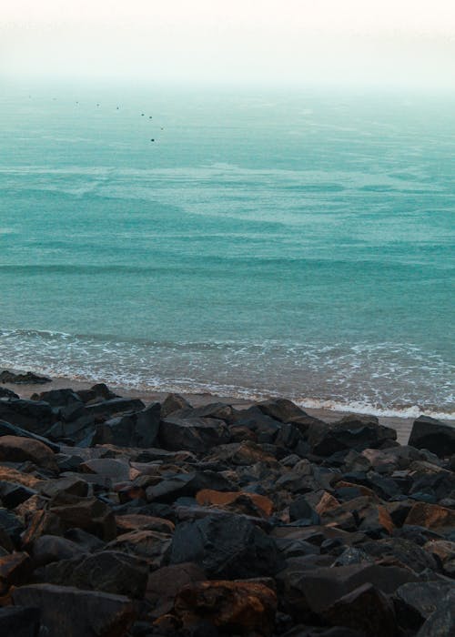 Бесплатное стоковое фото с берег, вертикальный выстрел, высокий угол обзора