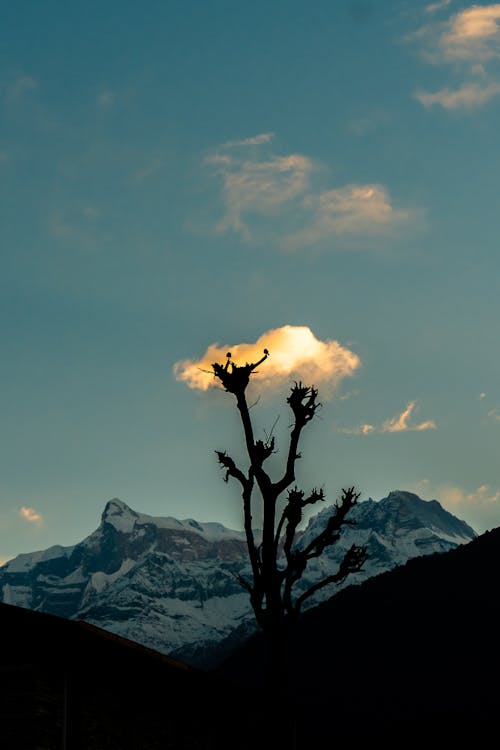 machhapuchhre, 卡塔瓦斯圖, 喜馬拉雅山 的 免費圖庫相片