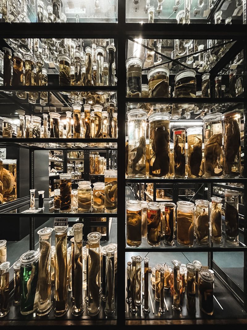 Toxicology museum specimen jars