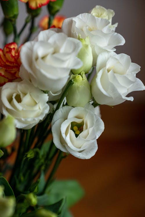 Close-up of a Bunch of Flowers with White Freesias
