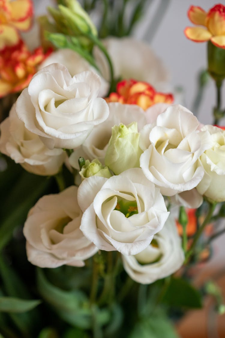 Bouquet Of White Roses And Carnations