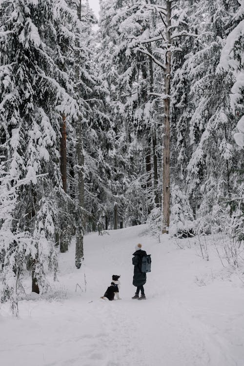 Woman and Dog Walking in Snowed Forest